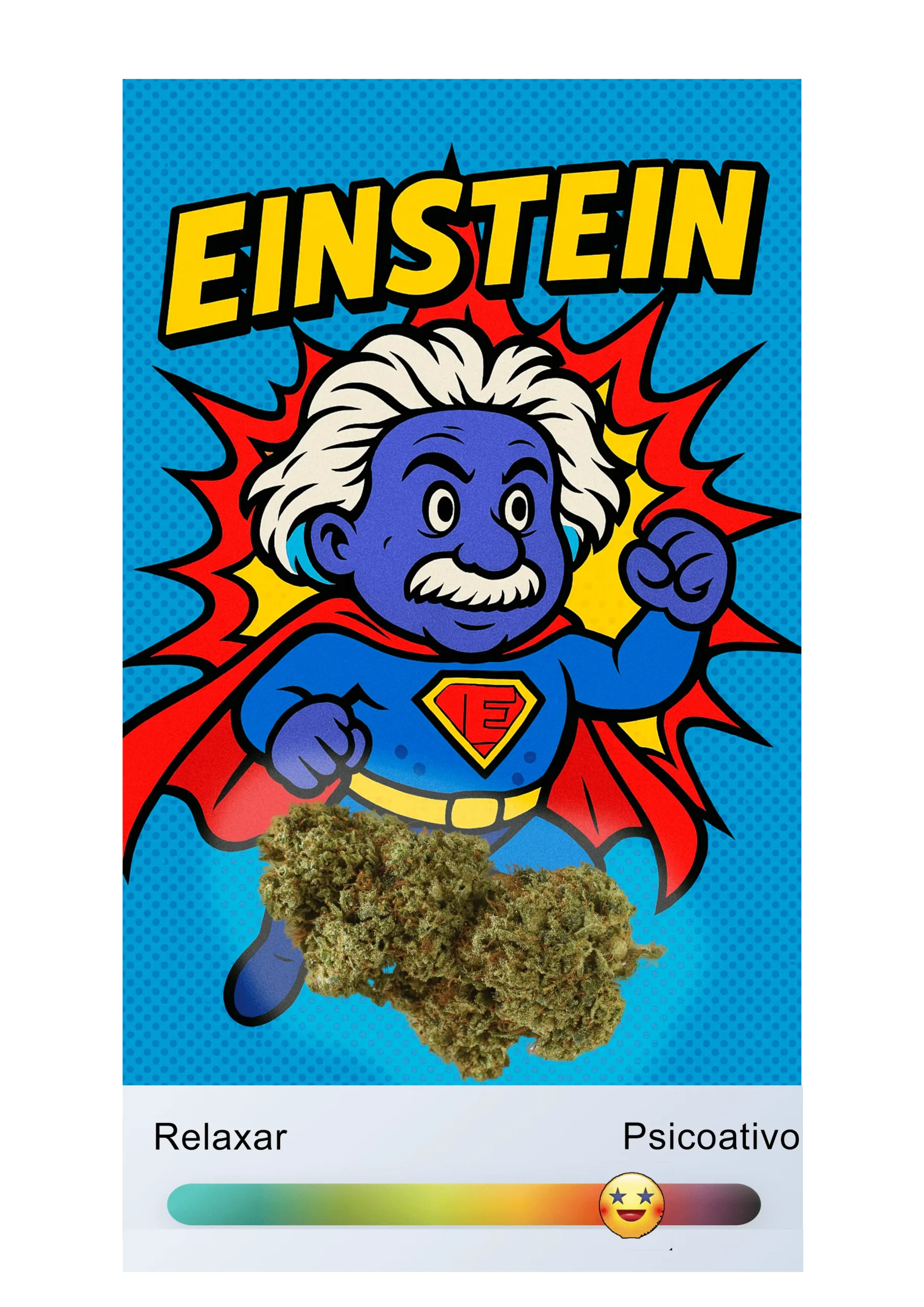 "EINSTEIN - onde a ciência encontra a natureza perfeita"