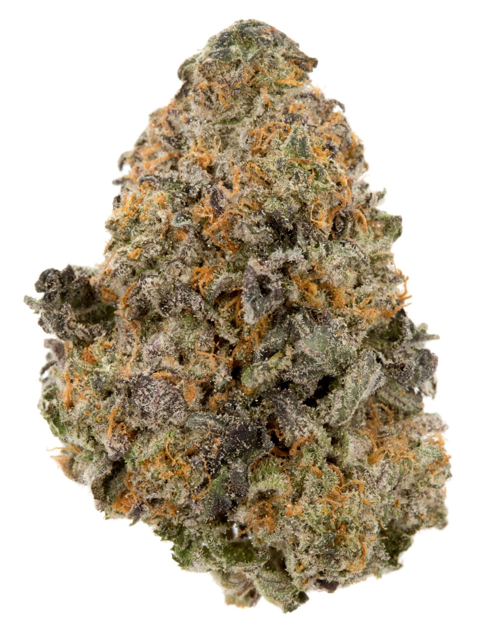 Flor Gelato CBDV