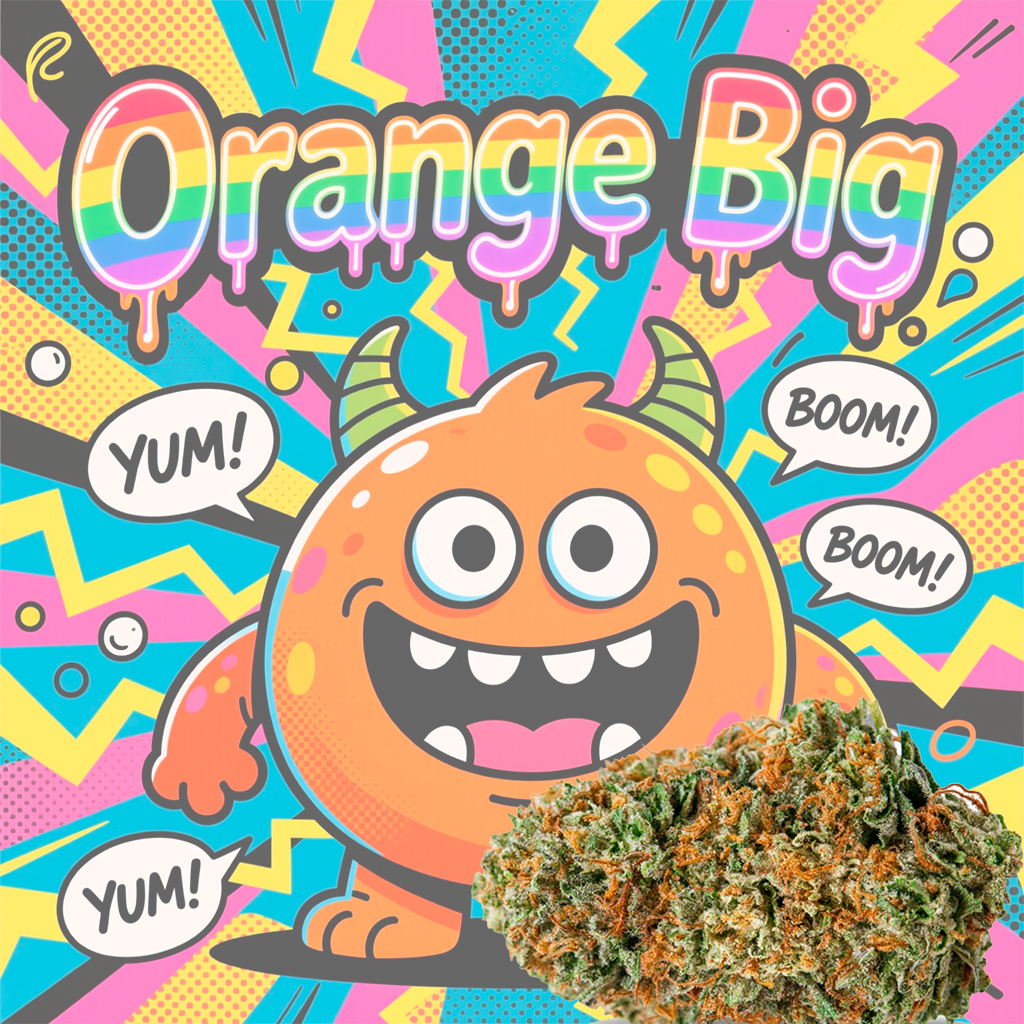 ORANGE BIG CBDV