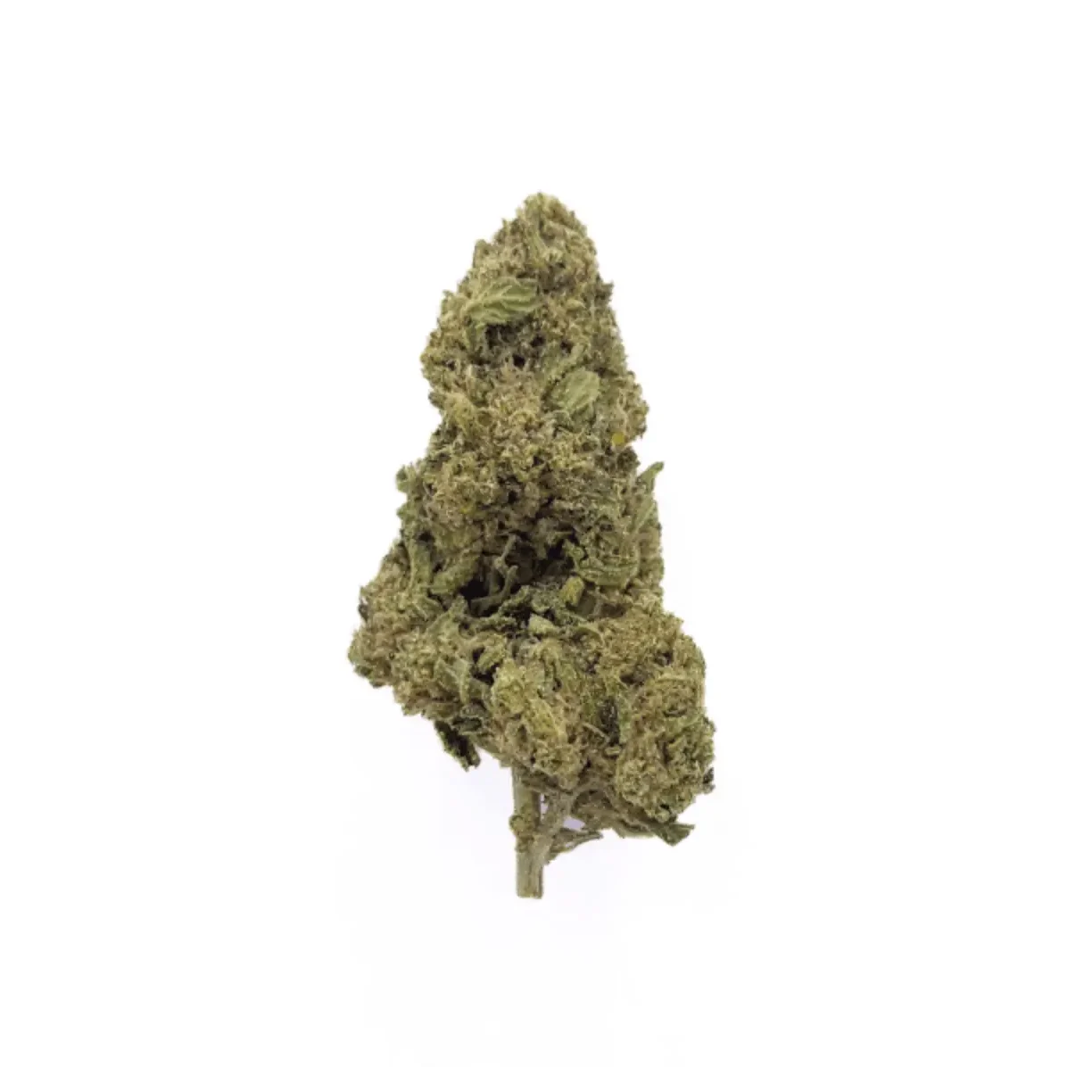White Widow CBDV